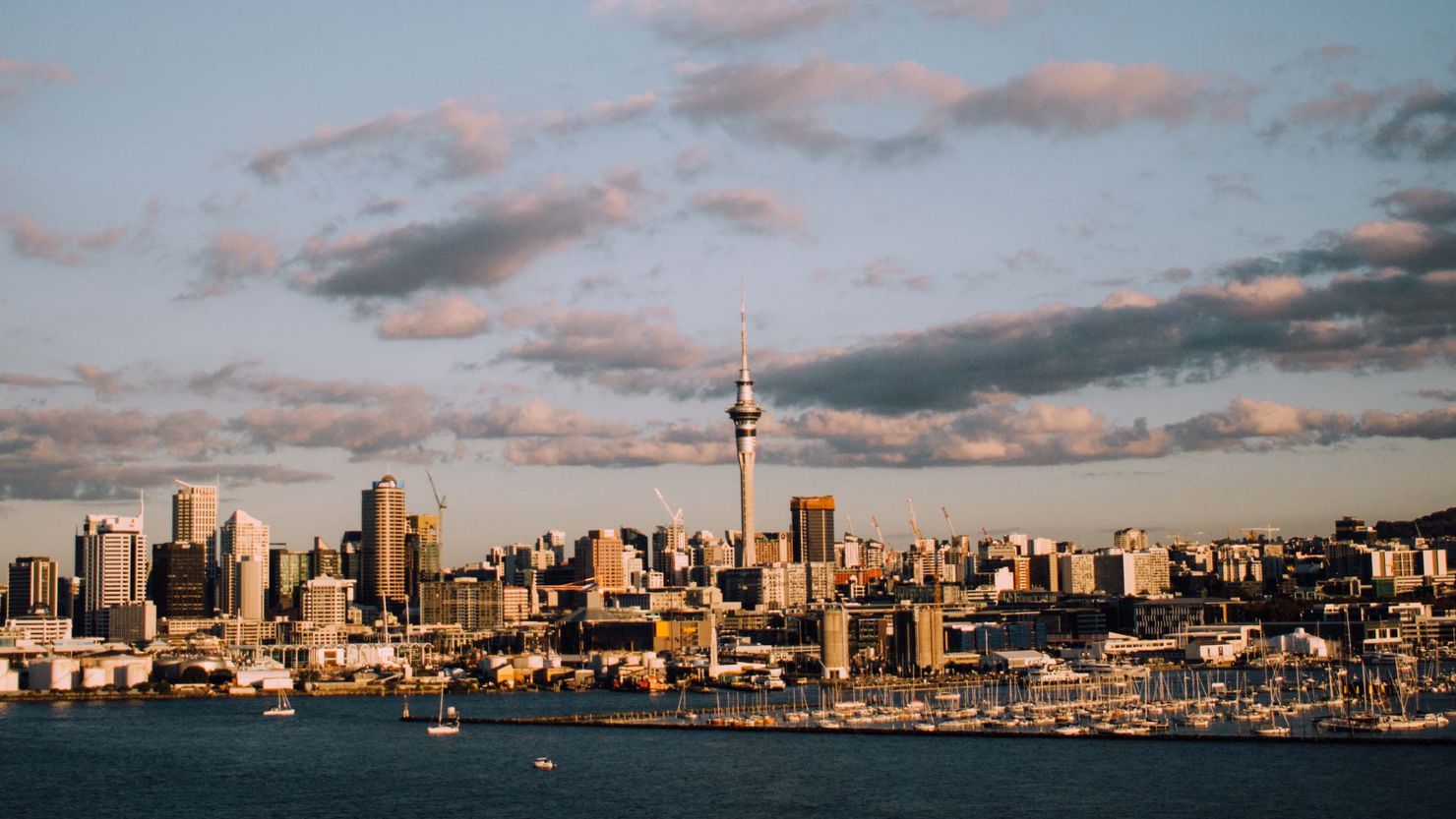 Photo of Auckland City - By Tim Marshall on Unsplash